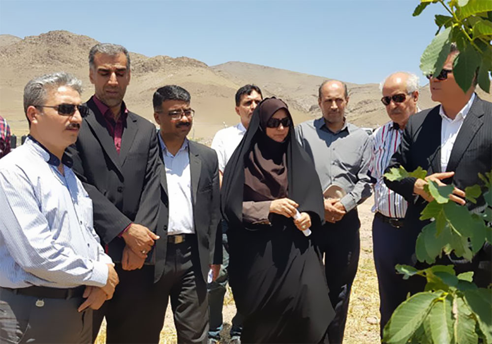 بازدید رئیس جهاد کشاورزی قزوین